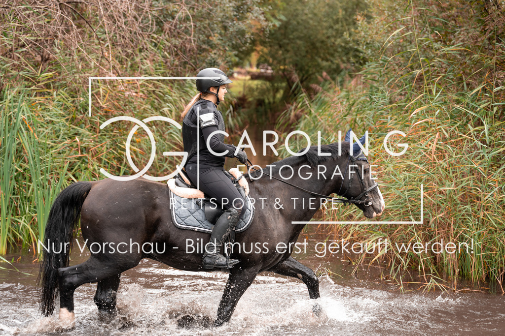 DSC07179 | Turnierfotografin Carolin Gieschke, Turnierfotografie Carolin G Fotografie, Turnierfotos Kirchheim/Teck, Esslingen, Stuttgart, Bodenseekreis