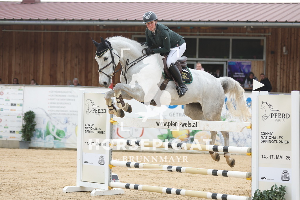 0P6A3630 | Willkommen bei Brunnmayr - Design & Fotografie – Ihrem Spezialisten für Reitturniere und Pferdeveranstaltungen in Oberösterreich, Salzburg und Bayern! Seit über 17 Jahren sind wir leidenschaftlich dabei.