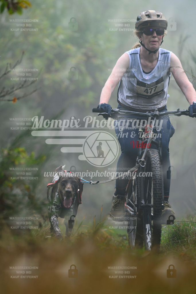 MompixPhotography_20TSB_E4_Bike-124 | PayLife