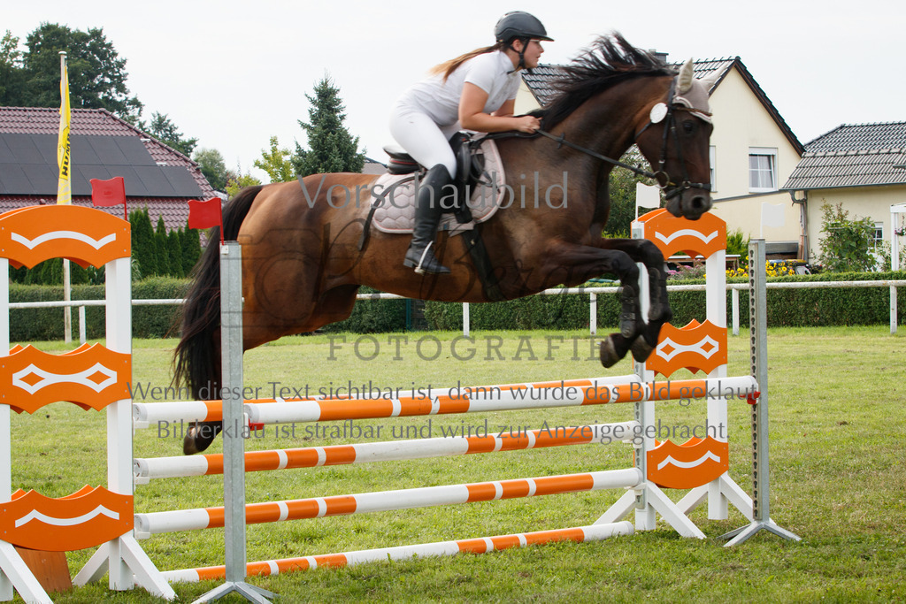 IMG_2602 | P. Berger Fotografie - Realisiert mit Pictrs.com