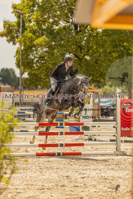 26-7-23 SPR A++-532 | mandyhollmannphotographie