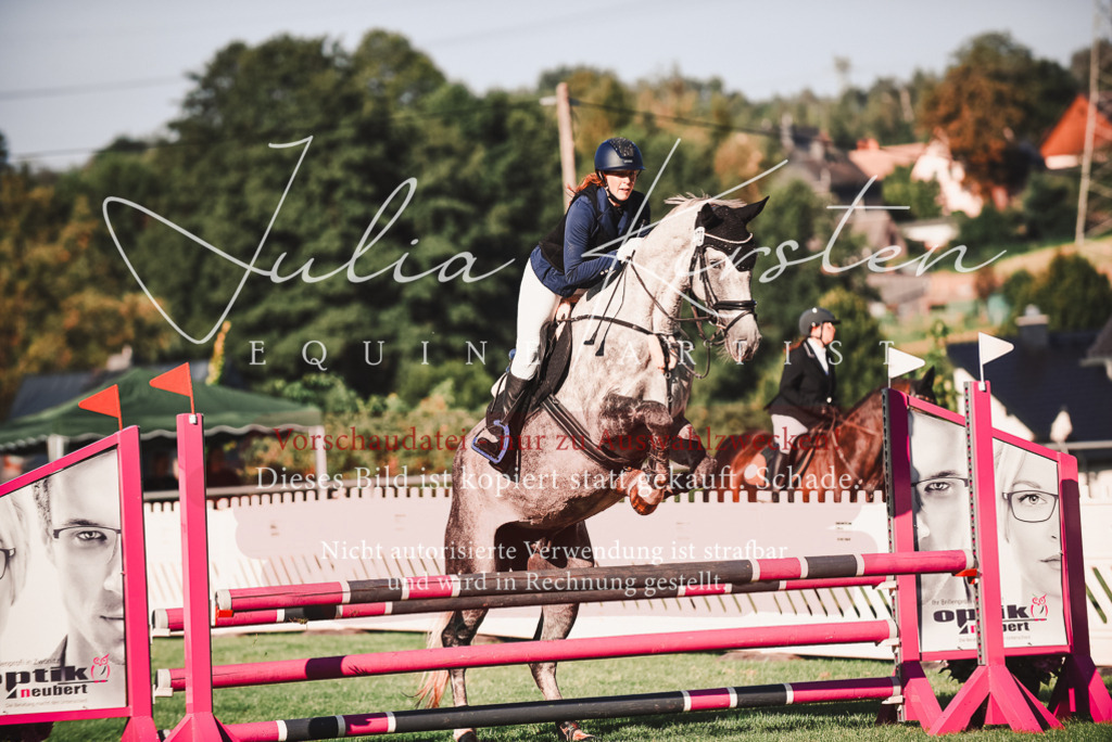 DSC_2154 | Pferde- und Turnierfotografie in Westsachsen. Pferdeportraits, Auftragszeichnungen und intuitive Kunst.