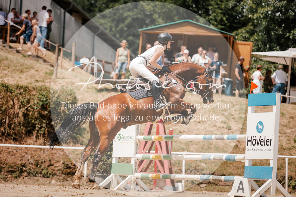 3I6A7820 | Stimmungsvolle Portraits und Reitsportfotografie im Ruhrgebiet und im Münsterland.

Pferdefotografie, Hundefotografie, Tierfotografie, Reportagen, Portraits von Tier und Mensch, Turnierfotografie in Bochum, Recklinghausen, Marl, Haltern am See, Dülmen.. - Realisiert mit Pictrs.com