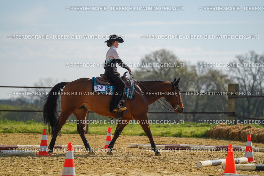 DSC01235 | Pferdegrafie