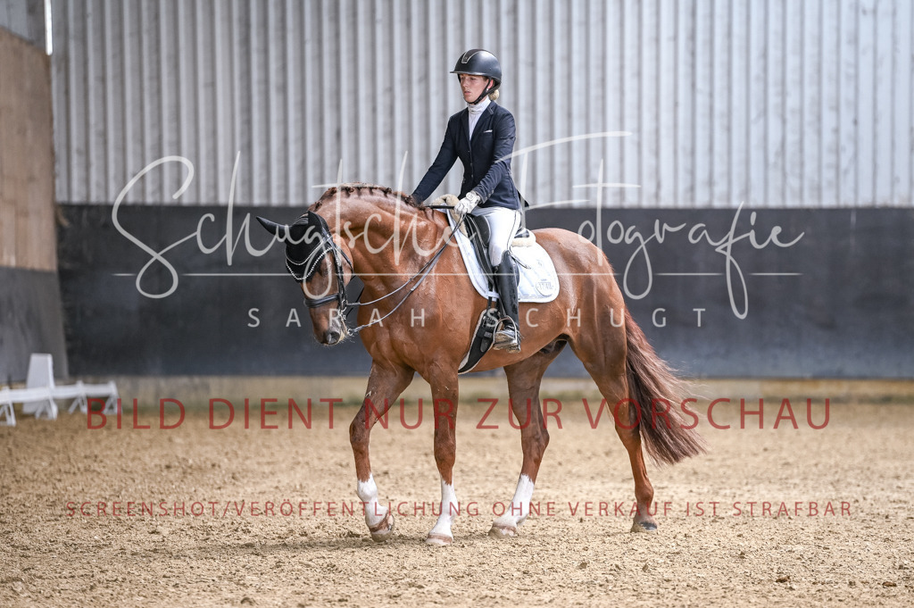 Schugtsche-Aluta25-57.Dressurprf.M1Kand-307 | Schugtsche Fotografie - Realisiert mit Pictrs.com