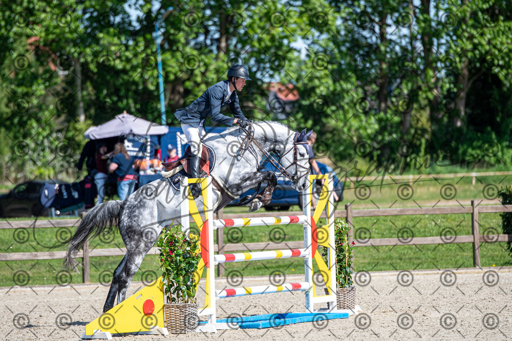 KPT_1386 | andre_photographic