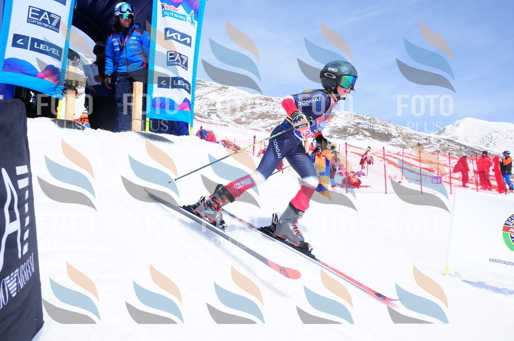 DSC_7172 | holidayphoto