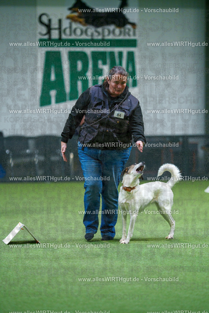 7R503315 | Professionelle Tierfotografie in Mönchengladbach von Daniel Wirth (allesWIRTHgut). Liebevolle & natürliche Bilder von Hunden & Katzen für unvergessliche Erinnerungen.