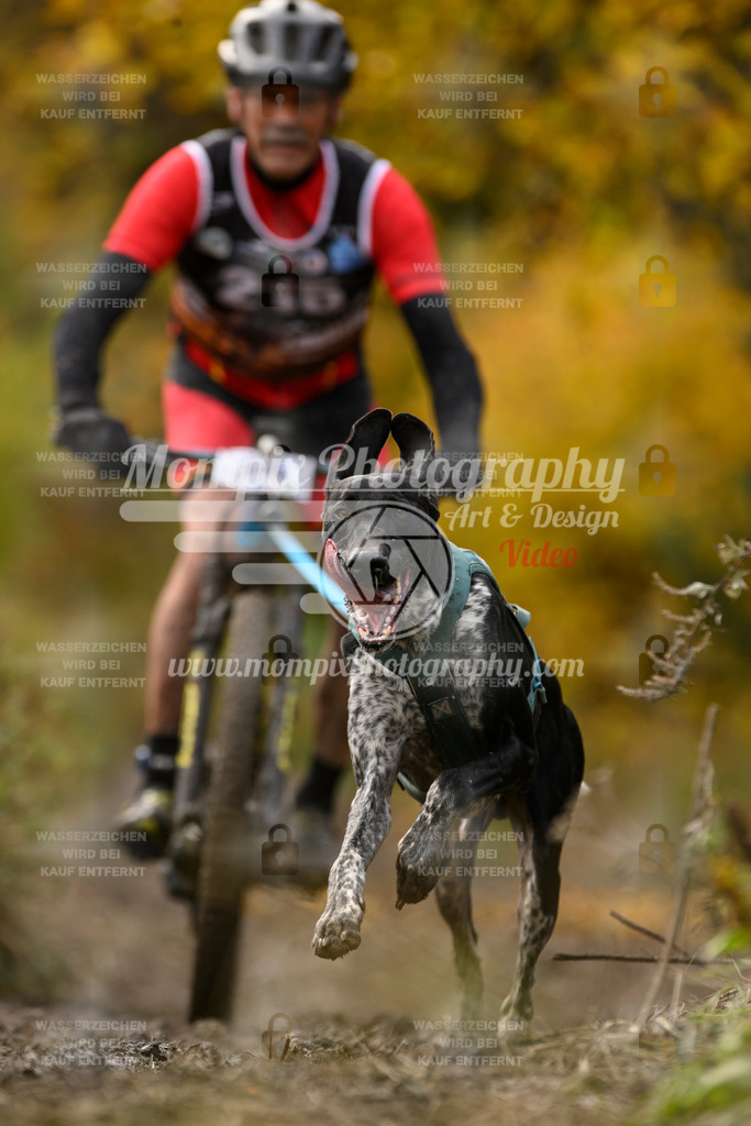 MompixPhotography_ICF_WC_2024_SA_Bike_-356 | PayLife