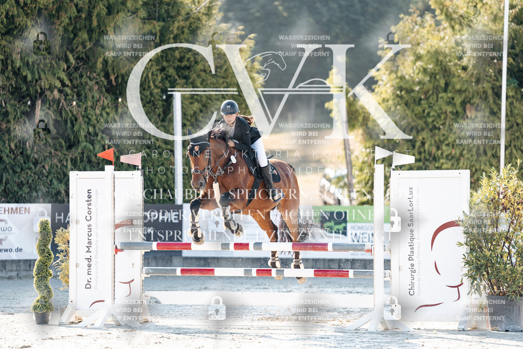 CK907559 | Turnierfotografie Pferdefotografie Trier Rheinland-Pfalz Pferdesport Reitsport Tierfotografie Sportfotografie Pferdevideo Pferdevideografie Equestrianvideography equestrianphotography  - Realisiert mit Pictrs.com