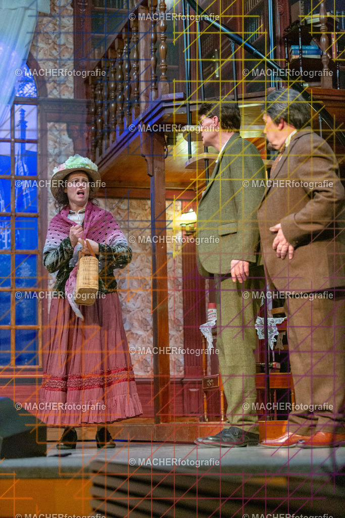 125_MFL-2025 | Portraitbilder von Regisseur; Darsteller; Techniker; Maske; Kostüme; Chor; Musiker; Bilderserie der Generalprobe und der Premierenvorstellung, Szenenbilder; Ausdrucksstudien; Bühnenüberblick; Bühnenkulissen; Pressefotos inkl. Redaktionsfoto Darstellergruppe.