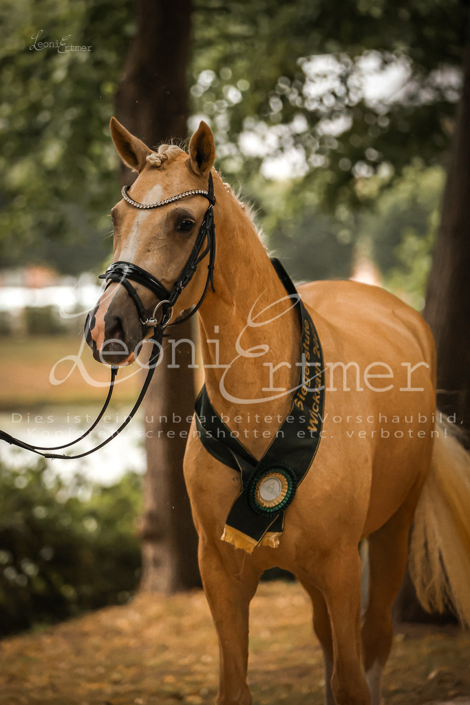 10.-12.Elite00167 | Leoni Ertmer Photography - Realisiert mit Pictrs.com