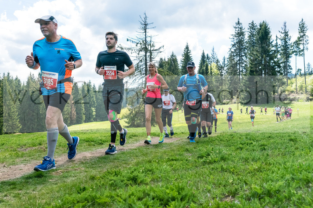 Rennsteiglauf 2019 | Marathon Neuhaus/Rwg. - Schmiedefeld am 18. Mai 2019