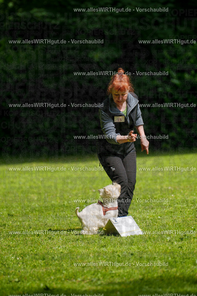 @allesWIRTHgut_Tierfotografie - www.allesWIRTHgut.de - 7R503791 | Professionelle Tierfotografie in Mönchengladbach von Daniel Wirth (allesWIRTHgut). Liebevolle & natürliche Bilder von Hunden & Katzen für unvergessliche Erinnerungen.