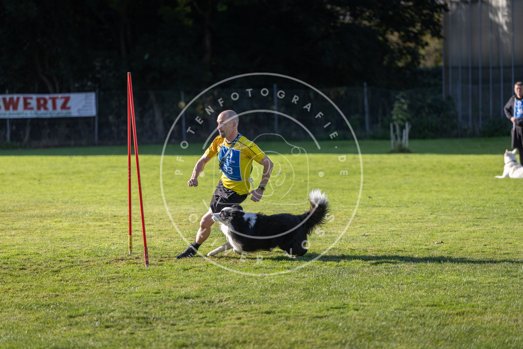 Pfotenfotografie.de_DV3A3473 | Hundefotografie, Tierfotograf, Pfotenfotografie, Fotoshooting Hund, Hunde Portrait, Hundesport, Hundeportraits, Heideshooting, Hunde, Sportfotograf, Hundefotograf, Turnierhundsport, THS, canicross - Realisiert mit Pictrs.com