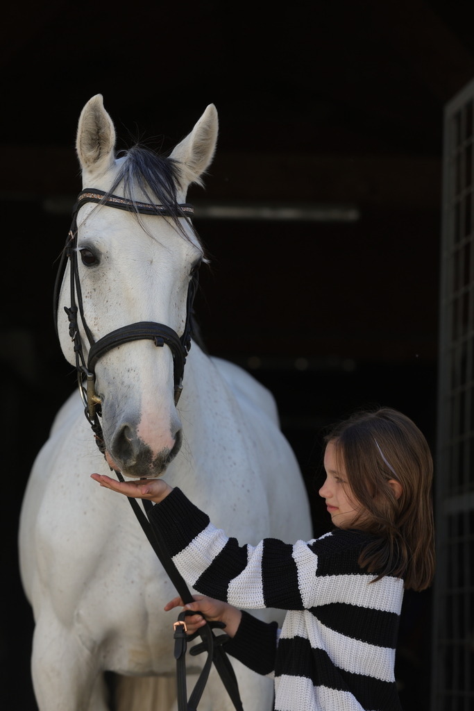 0P6A9008 | Willkommen bei Brunnmayr - Design & Fotografie – Ihrem Spezialisten für Reitturniere und Pferdeveranstaltungen in Oberösterreich, Salzburg und Bayern! Seit über 17 Jahren sind wir leidenschaftlich dabei.