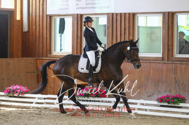 DKP45279 | Turniersportfotografie; Pferdefotografie; Dressurfotografie