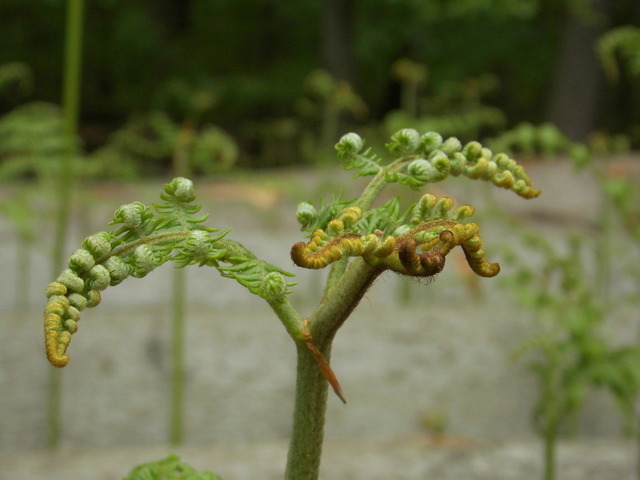 DSCI0410 | Outdoorpixl Teßen OHG - Realisiert mit Pictrs.com
