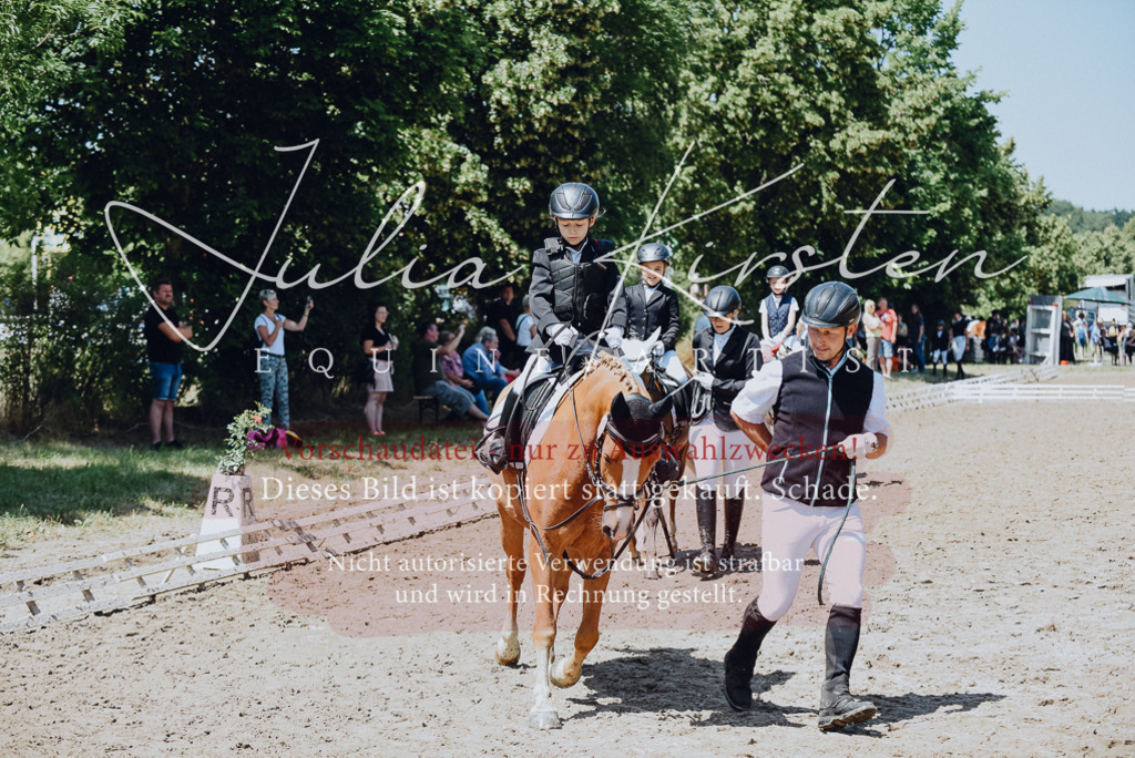 DSC_2458 | Pferde- und Turnierfotografie in Westsachsen. Pferdeportraits, Auftragszeichnungen und intuitive Kunst.