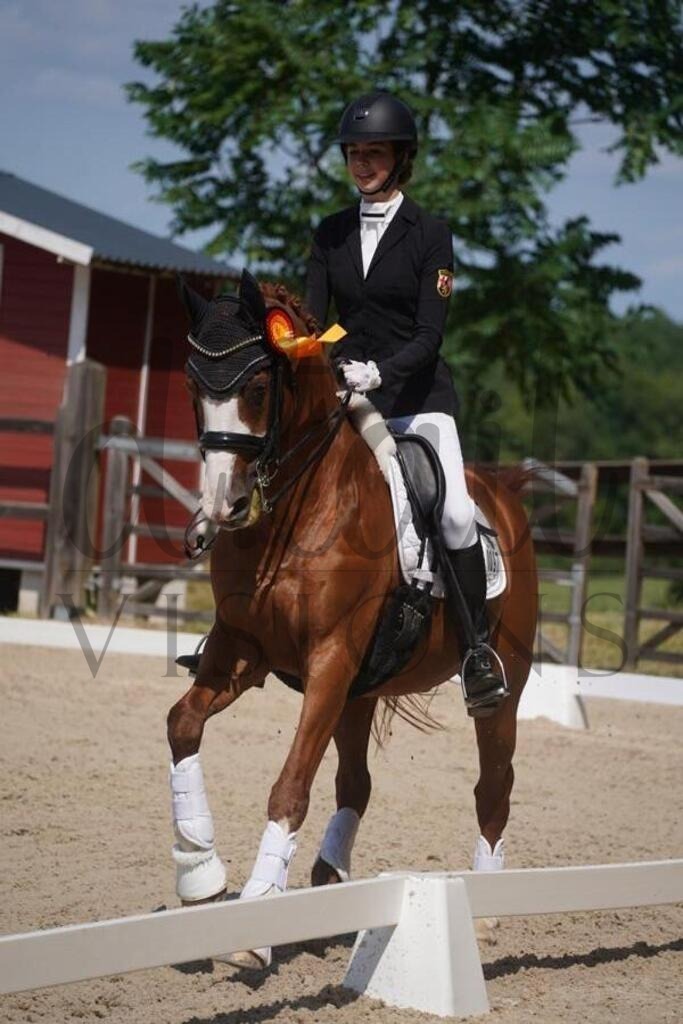 tbhsamstag (966) | d.tail Visions - Shop - Realisiert mit Pictrs.com