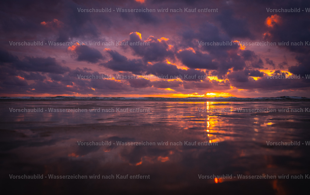 DSC01937-2 | marcuslinek