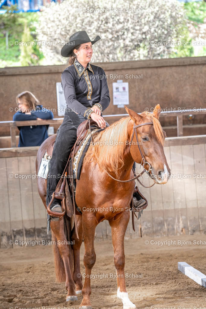 LMB08650 | BS-foto