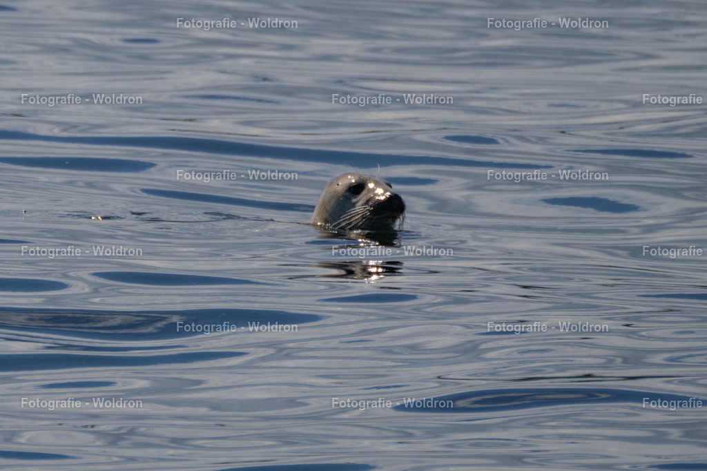 20230815 Isle of Sky - St.Andrews - Dundee-32 | Fotografie Woldron