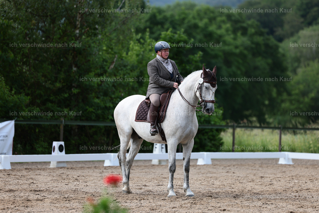 CAM21295 | working equitationturnier fotograf videograf stoibphotography marixx film working equitation deutschland reitsport turnierfotografie eventfotografie equestrian events