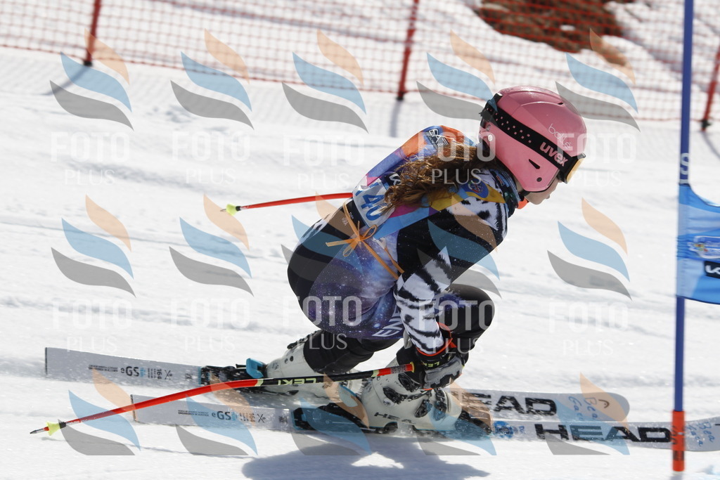 _U3G1041 | holidayphoto