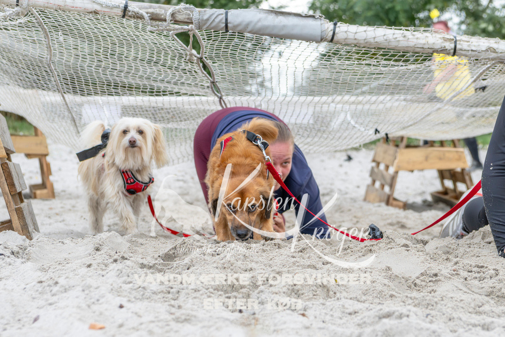 1540_ZZ96489 | kk-dogfotos