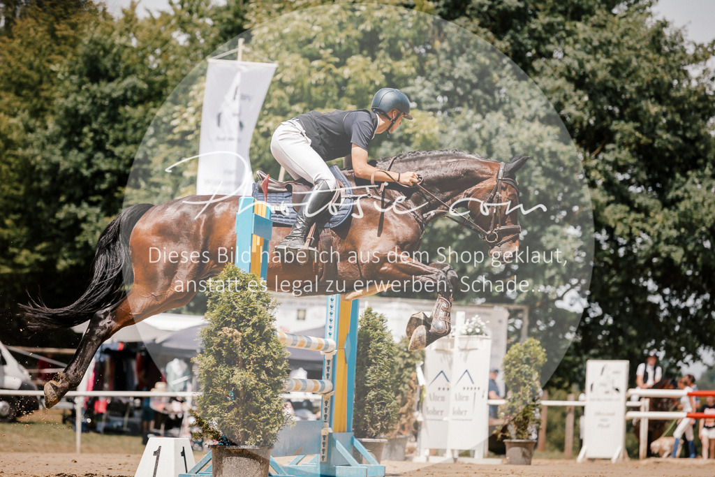 3I6A8076 | Stimmungsvolle Portraits und Reitsportfotografie im Ruhrgebiet und im Münsterland.

Pferdefotografie, Hundefotografie, Tierfotografie, Reportagen, Portraits von Tier und Mensch, Turnierfotografie in Bochum, Recklinghausen, Marl, Haltern am See, Dülmen.. - Realisiert mit Pictrs.com