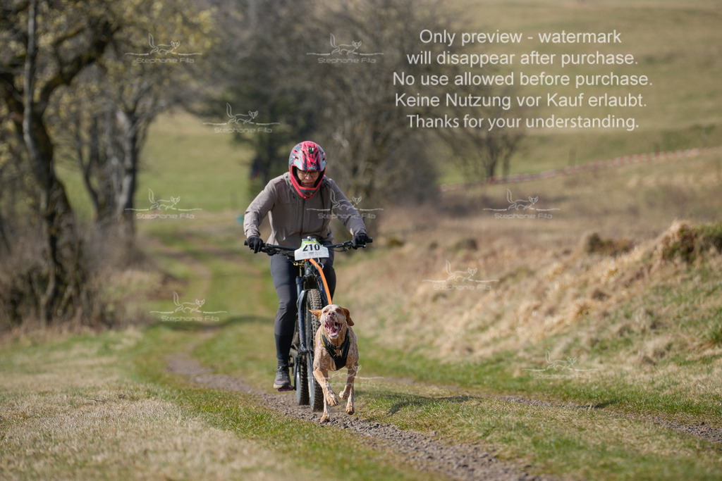 Bike_Lang-233 | stephaniefillaphotographie - Realisiert mit Pictrs.com