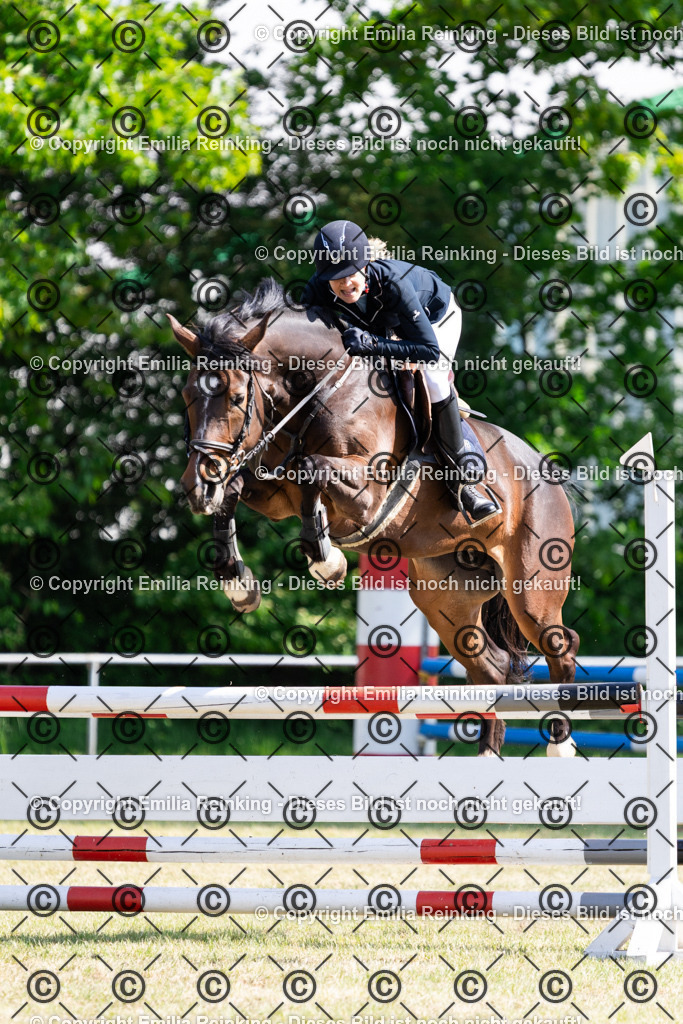 CL5A7331 | Emilia Reinking Fotografie - Realisiert mit Pictrs.com