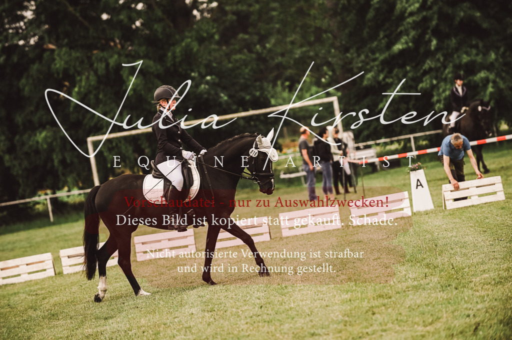 DSC_4781 | Pferde- und Turnierfotografie in Westsachsen. Pferdeportraits, Auftragszeichnungen und intuitive Kunst.