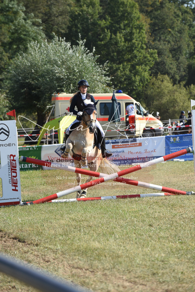 DSC_5887 | Pferde- und Turnierfotografie in Westsachsen. Pferdeportraits, Auftragszeichnungen und intuitive Kunst.