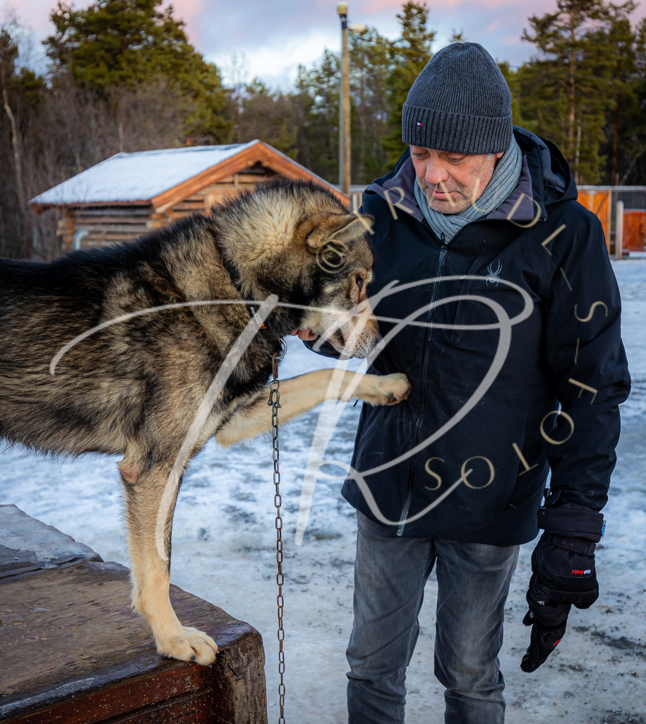 D80FBBCF-CB71-458A-92B2-BAD863B600AB | traudl_s_fotos