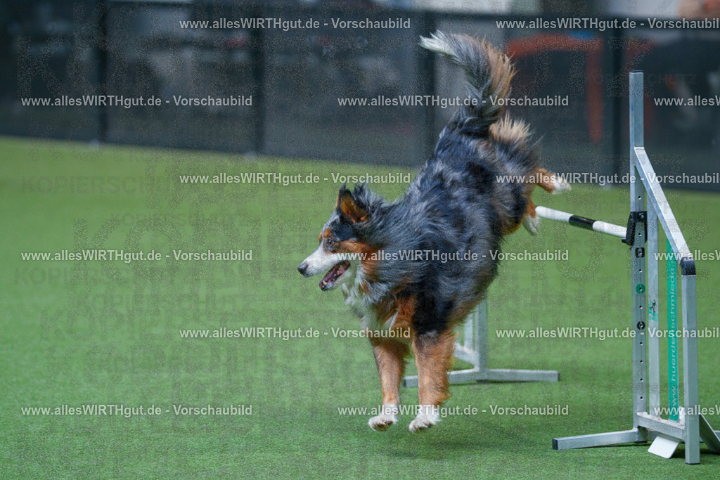 @allesWIRTHgut_Tierfotografie - www.allesWIRTHgut.de - 2604251545-7R506101 | Professionelle Tierfotografie in Mönchengladbach von Daniel Wirth (allesWIRTHgut). Liebevolle & natürliche Bilder von Hunden & Katzen für unvergessliche Erinnerungen.
