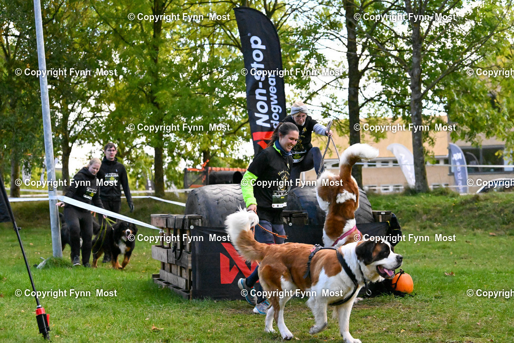 DSC_6455 | Hallo und herzlich Willkommen auf meiner Shop-Seite Fynn Most.

Ich wünsche Dir viel Spaß beim stöbern durch die Bilder, wenn Du Fragen hast oder Bilder vermisst, kannst du mir gerne eine Nachricht schreiben. - Realisiert mit Pictrs.com
