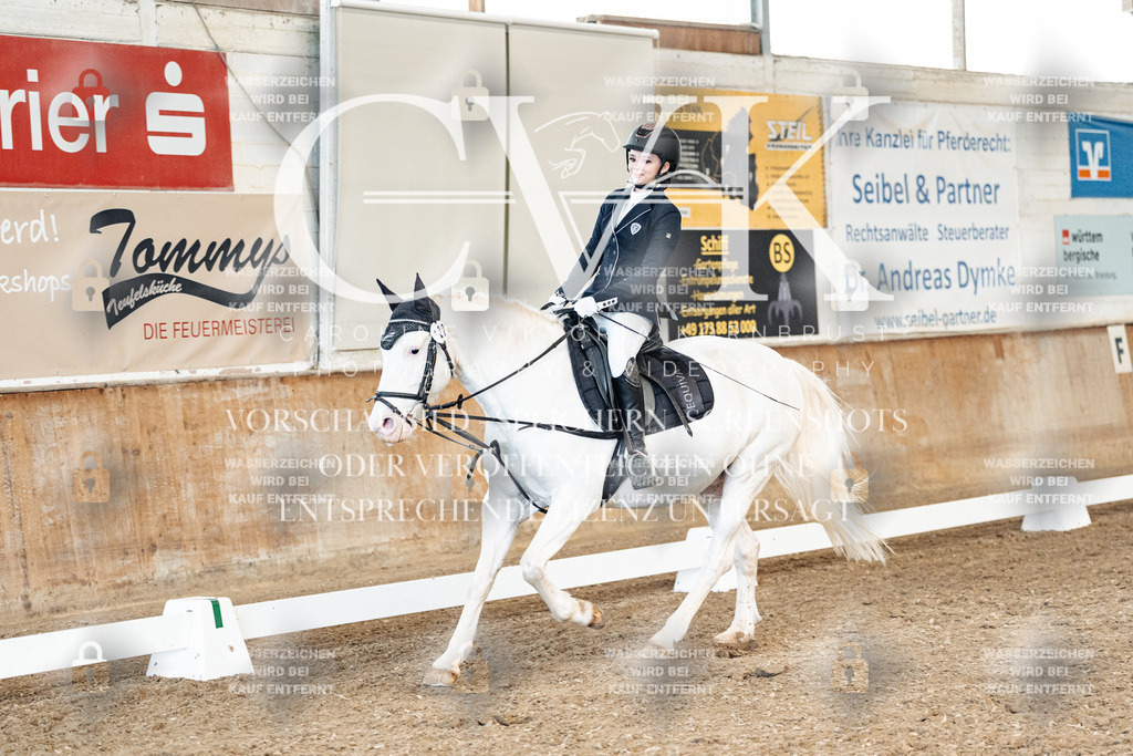 CK900106 | Turnierfotografie Pferdefotografie Trier Rheinland-Pfalz Pferdesport Reitsport Tierfotografie Sportfotografie Pferdevideo Pferdevideografie Equestrianvideography equestrianphotography  - Realisiert mit Pictrs.com
