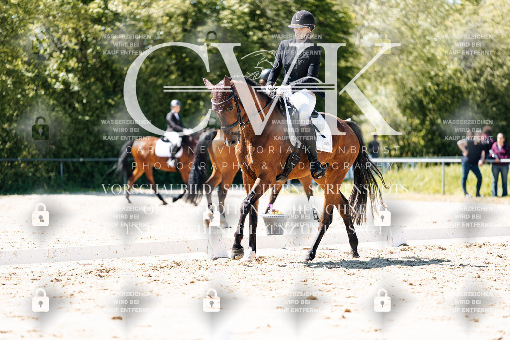 CK905804 | Turnierfotografie Pferdefotografie Trier Rheinland-Pfalz Pferdesport Reitsport Tierfotografie Sportfotografie Pferdevideo Pferdevideografie Equestrianvideography equestrianphotography  - Realisiert mit Pictrs.com