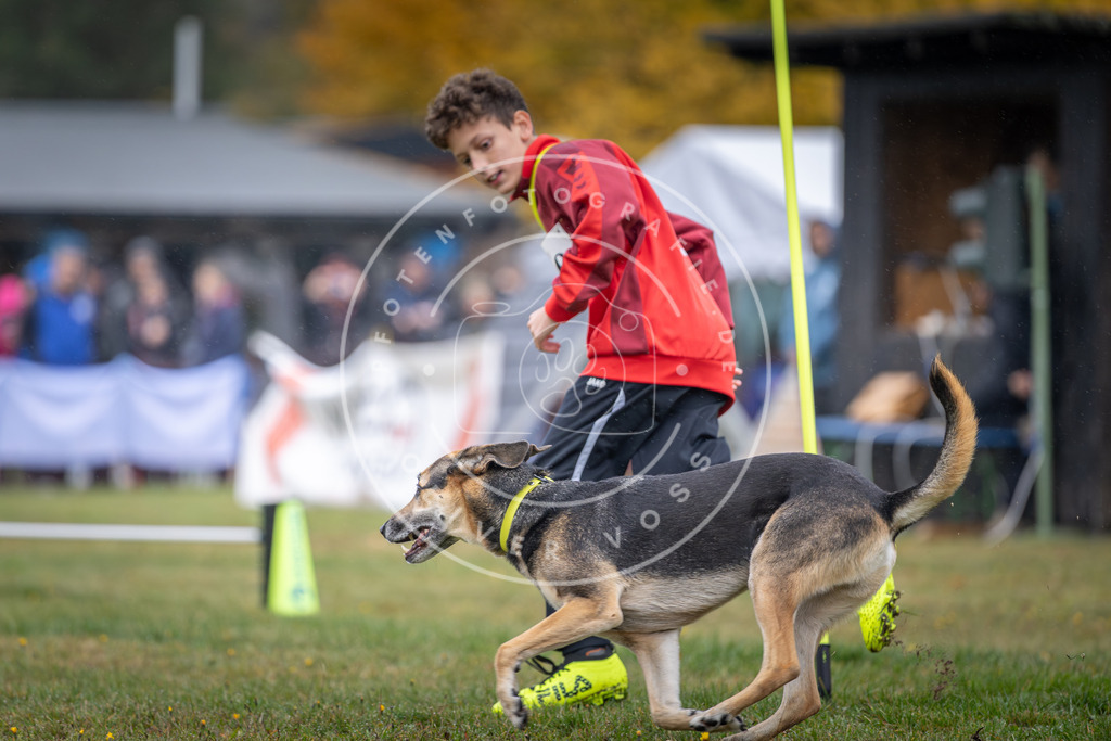 Pfotenfotografie_DV3A9902 | Hundefotografie, Tierfotograf, Pfotenfotografie, Fotoshooting Hund, Hunde Portrait, Hundesport, Hundeportraits, Heideshooting, Hunde, Sportfotograf, Hundefotograf, Turnierhundsport, THS,  - Realisiert mit Pictrs.com