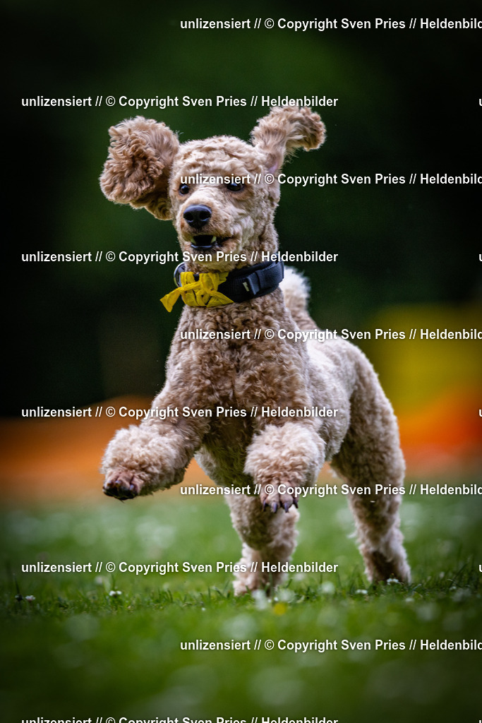 Sven Pries | 2025-05-29 - Pudelrennen KA-Durlach - Realisiert mit Pictrs.com