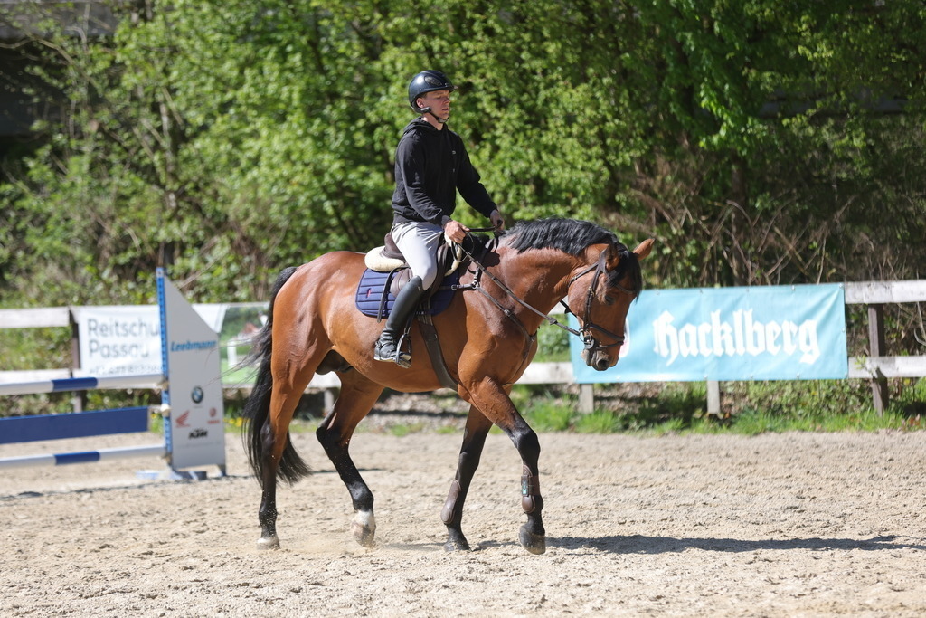0P6A8102 | Willkommen bei Brunnmayr - Design & Fotografie – Ihrem Spezialisten für Reitturniere und Pferdeveranstaltungen in Oberösterreich, Salzburg und Bayern! Seit über 17 Jahren sind wir leidenschaftlich dabei.