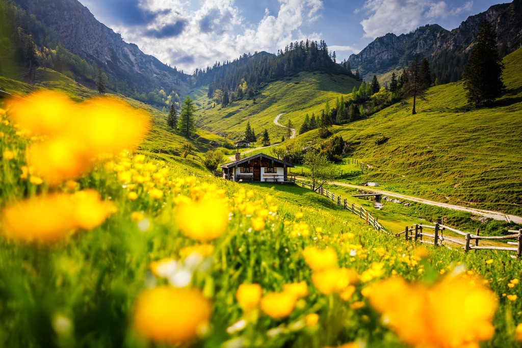 Thorau im Frühjahr 1 | ap-design // andreas plenk - Realisiert mit Pictrs.com