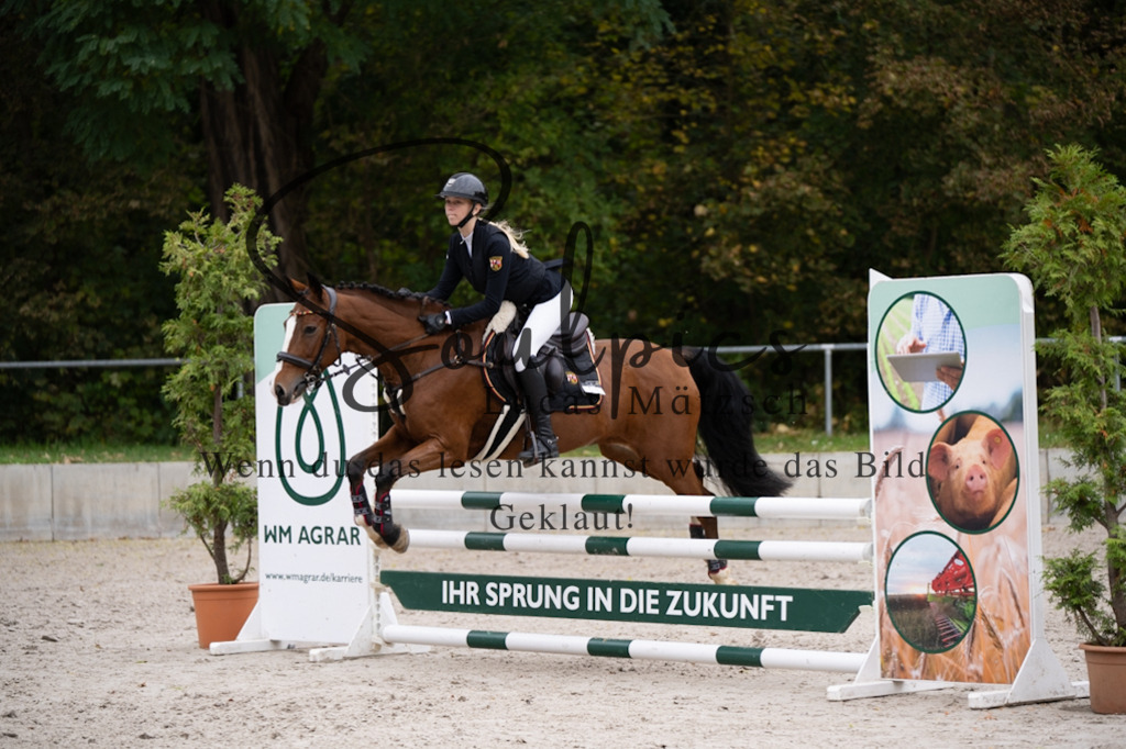 A7V08079 | Pferdefotograf