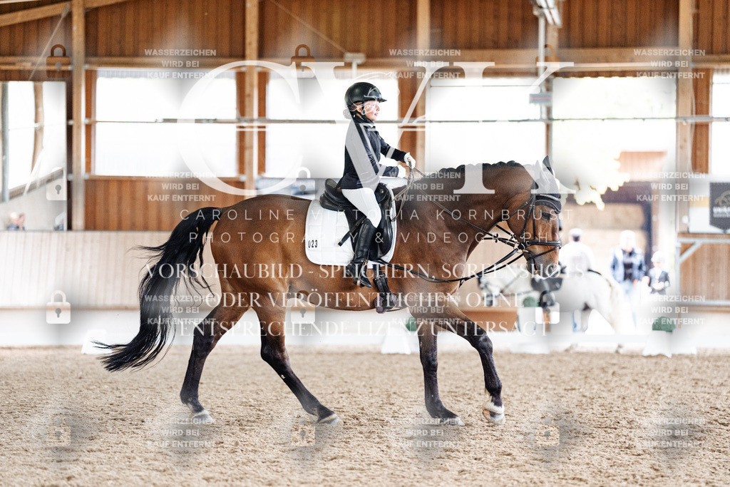 CK900822 | Turnierfotografie Pferdefotografie Trier Rheinland-Pfalz Pferdesport Reitsport Tierfotografie Sportfotografie Pferdevideo Pferdevideografie Equestrianvideography equestrianphotography  - Realisiert mit Pictrs.com
