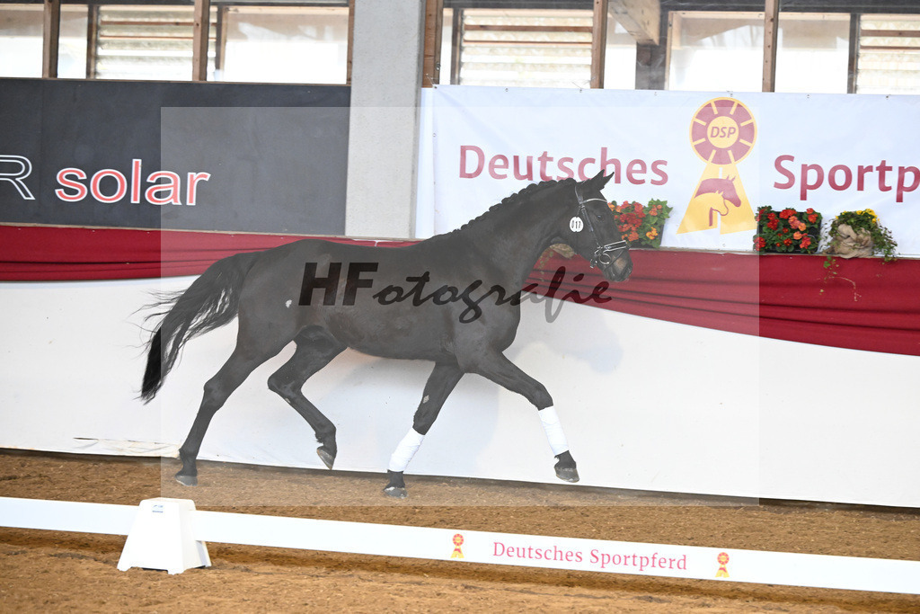 Kat-Nr. 17 Bellary v. Bohemian_Fischer_16250165 | hf-fotografie - Realizzato con Pictrs.com