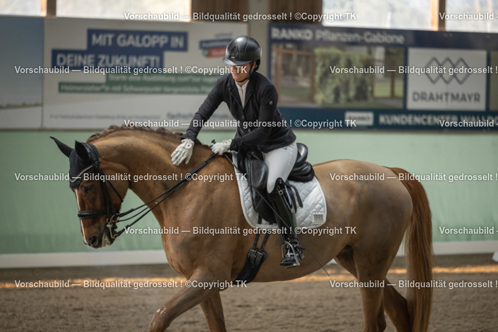 _D5A4002 | Emotionale Pferde- & People-Fotografie rund um Heidelberg, Leimen & Umgebung. Natürliche Fotos von Pferd, Mensch & Familie. Jetzt Termin sichern!