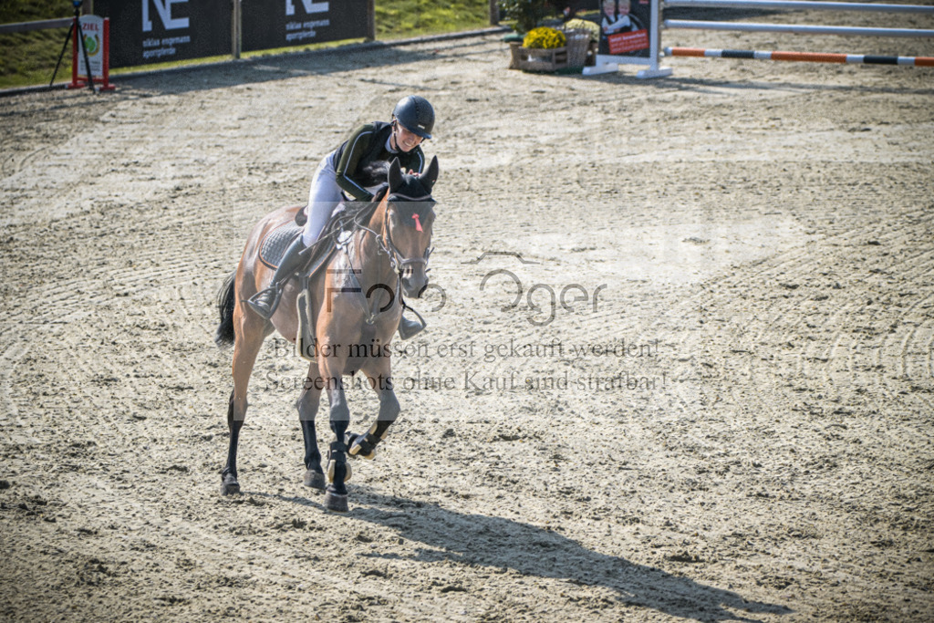 DOS_0995 | Entdecke hochwertige Reitturnierfotos von Foto Oger. Professionell, emotional und authentisch – jetzt Lieblingsmomente im Shop bestellen.Deutschlandweite Turnierfotografie. - Realisiert mit Pictrs.com