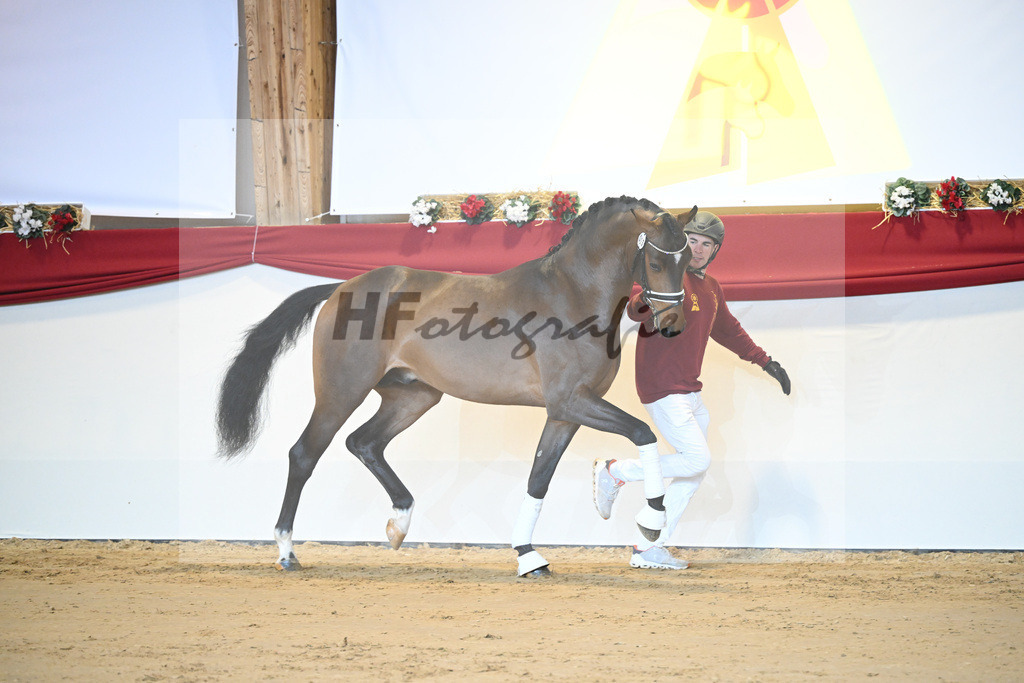 Kat-Nr. 53 For Dance_Haefner_1231329 | hf-fotografie - Realisiert mit Pictrs.com